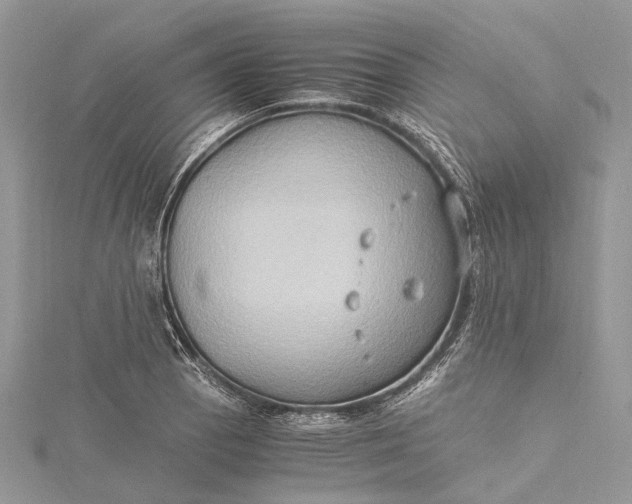 X0000115511129200911201633