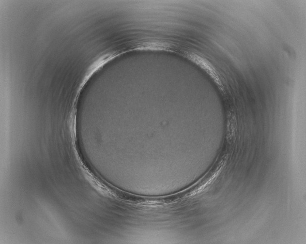 X0000115511130200911201633