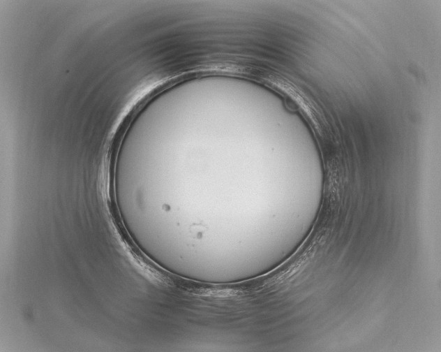 X0000115511131200911201633