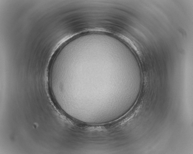 X0000115511133200911201633