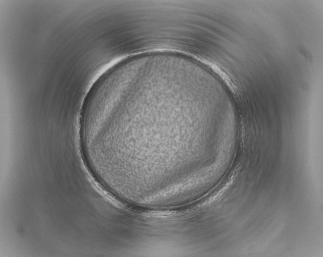 X0000115511134200911201633