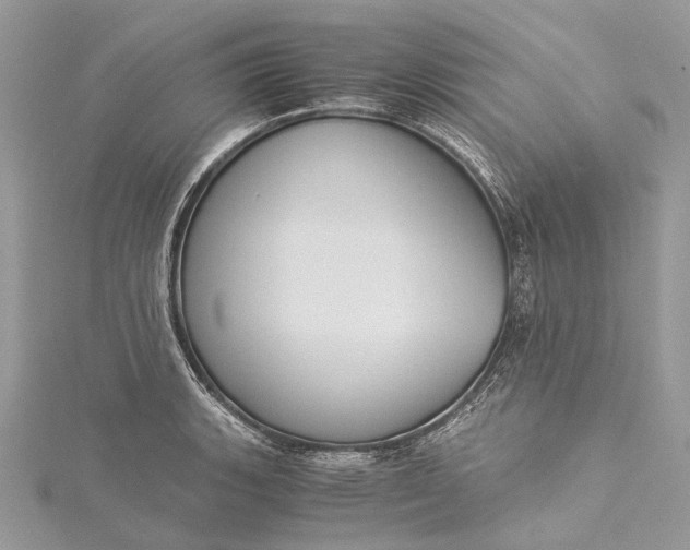 X0000115511135200911201633