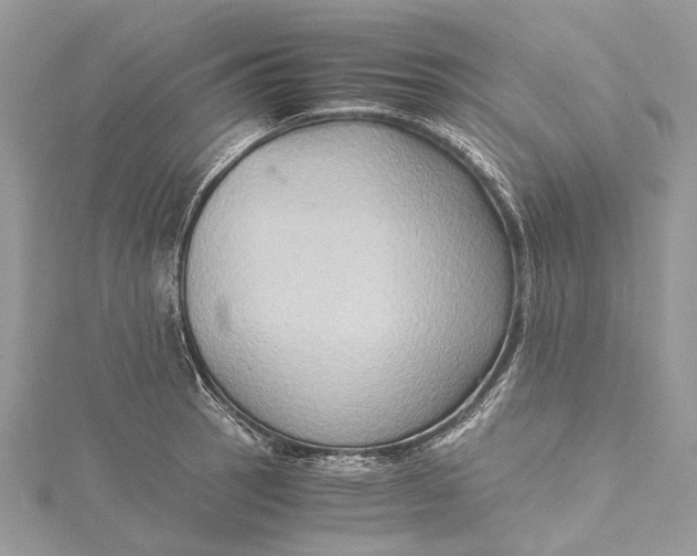 X0000115511137200911201633