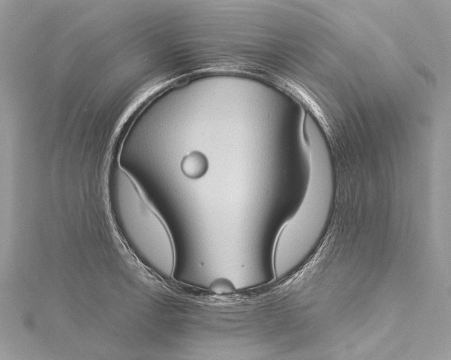 X0000115511138200911201633