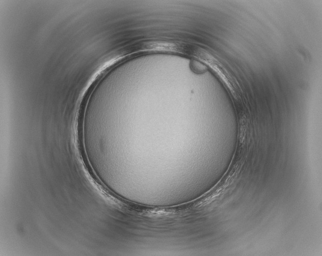 X0000115511139200911201633