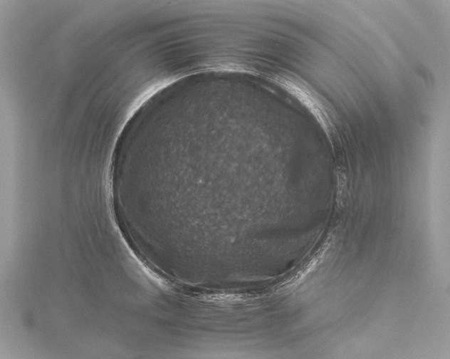 X0000115511141200911201633