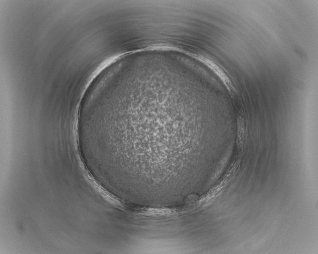 X0000115511142200911201633