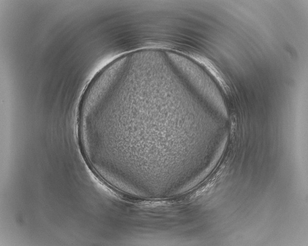 X0000115511143200911201633