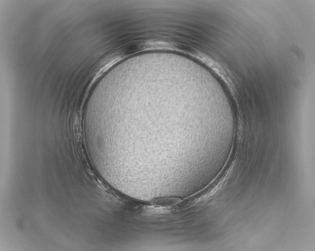 X0000115511145200911201633