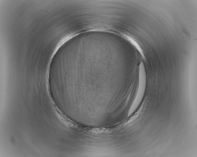 X0000115511146200911201634