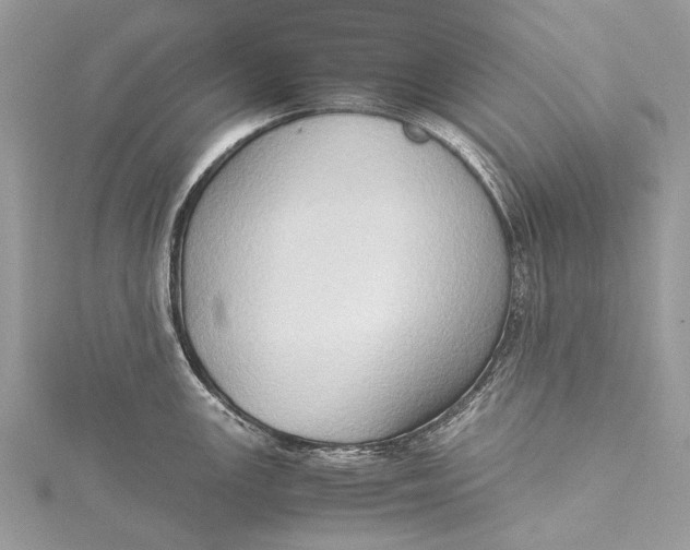 X0000115511147200911201634