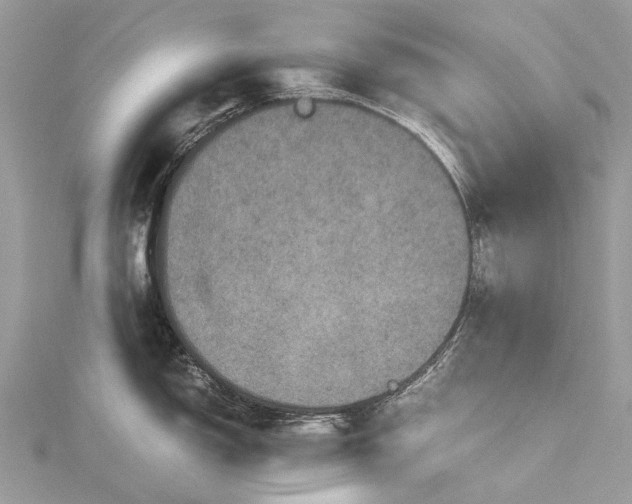 X0000115511150200911201634