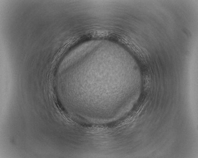 X0000115511153200911201633