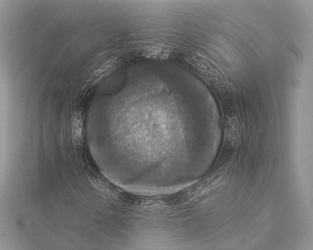 X0000115511154200911201633