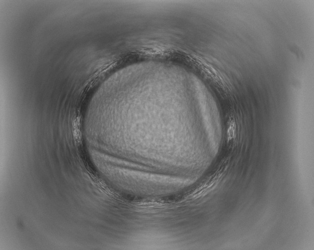 X0000115511156200911201633