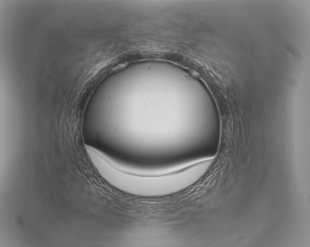 X0000115511157200911201633