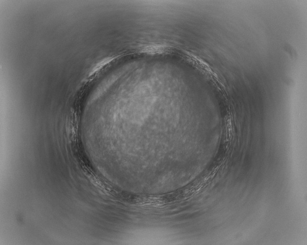 X0000115511158200911201633