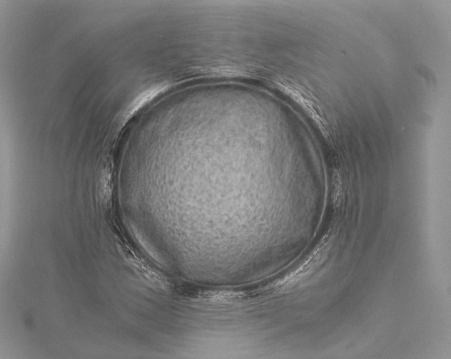 X0000115511163200911201633