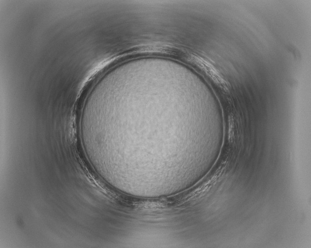 X0000115511164200911201633