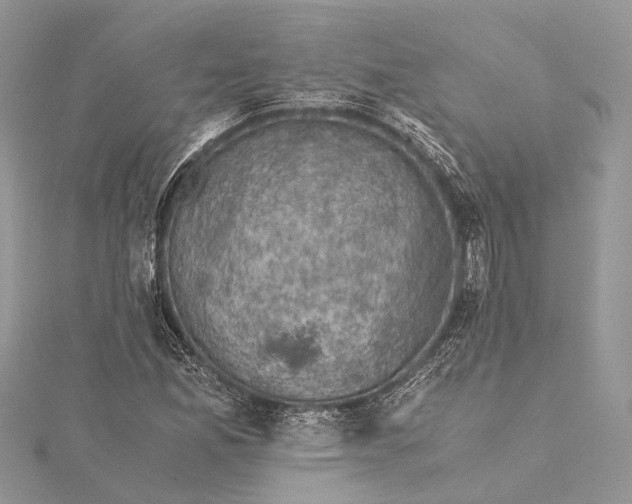 X0000115511165200911201633