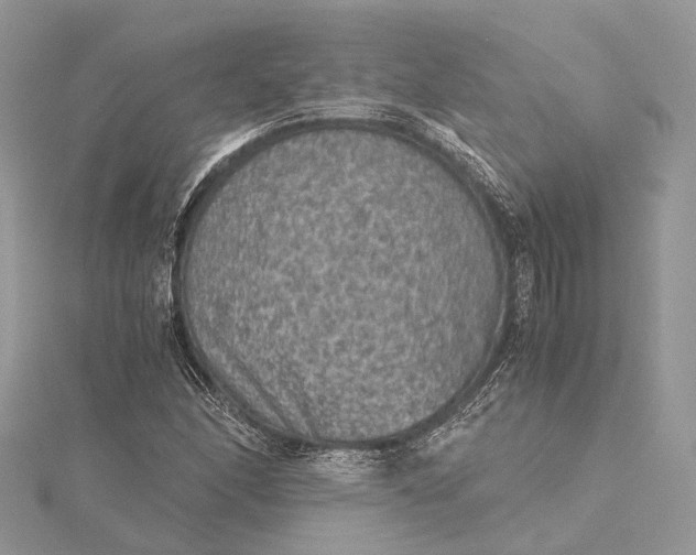 X0000115511166200911201633