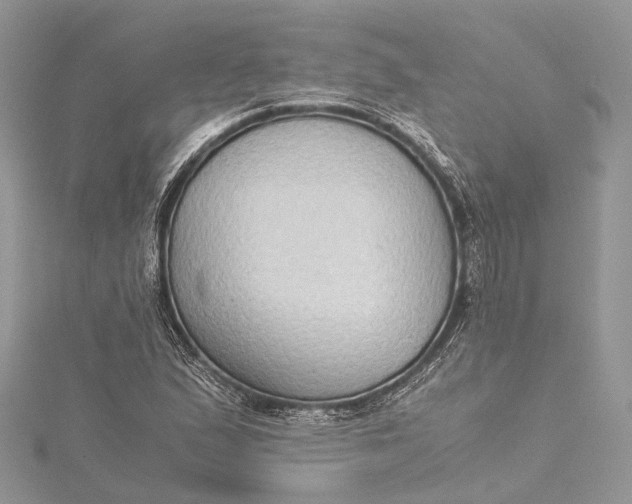 X0000115511167200911201633