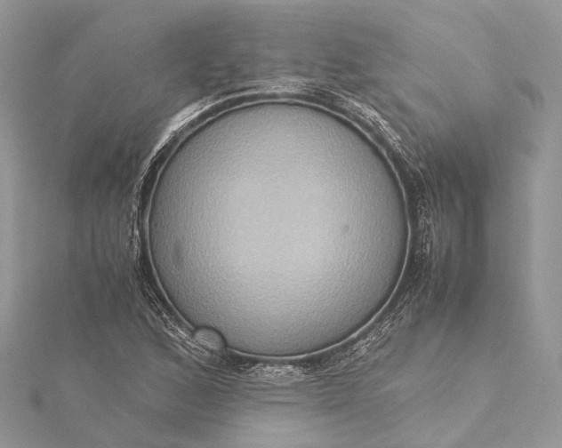 X0000115511168200911201633