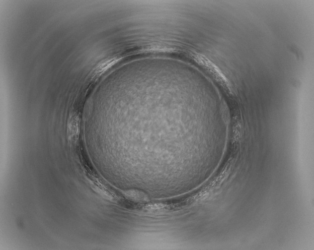 X0000115511169200911201633