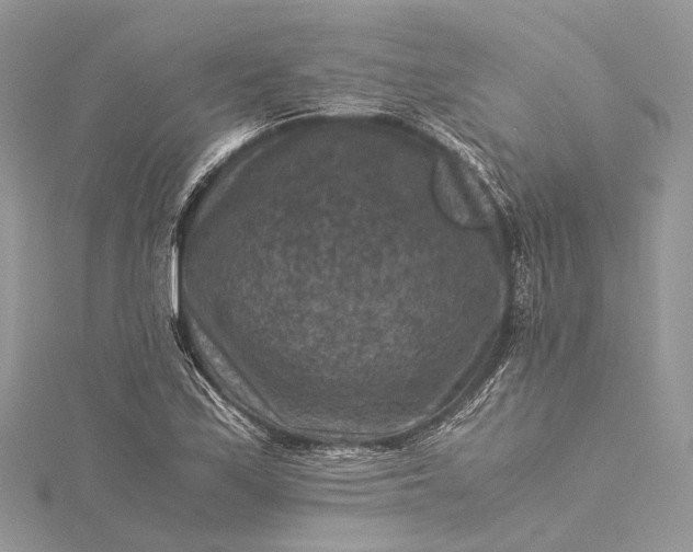 X0000115511171200911201633