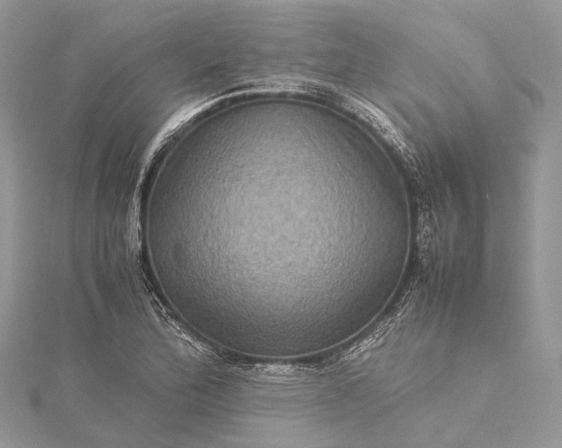 X0000115511172200911201633