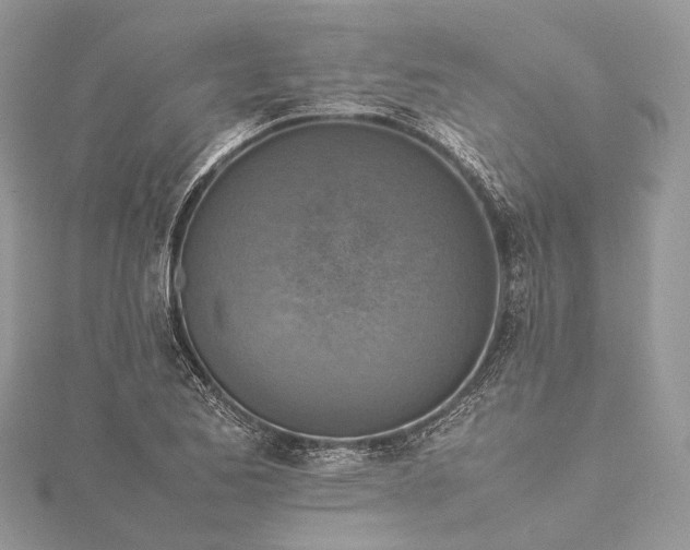 X0000115511173200911201633