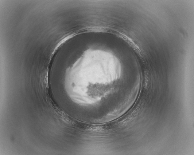 X0000115511174200911201633