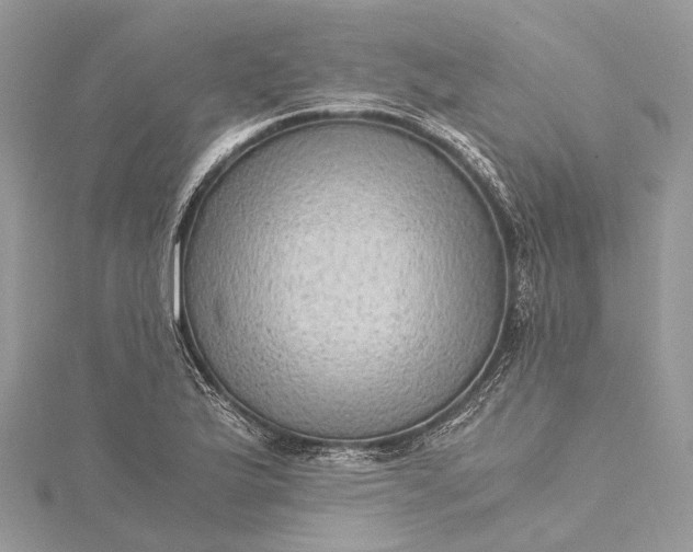 X0000115511175200911201633