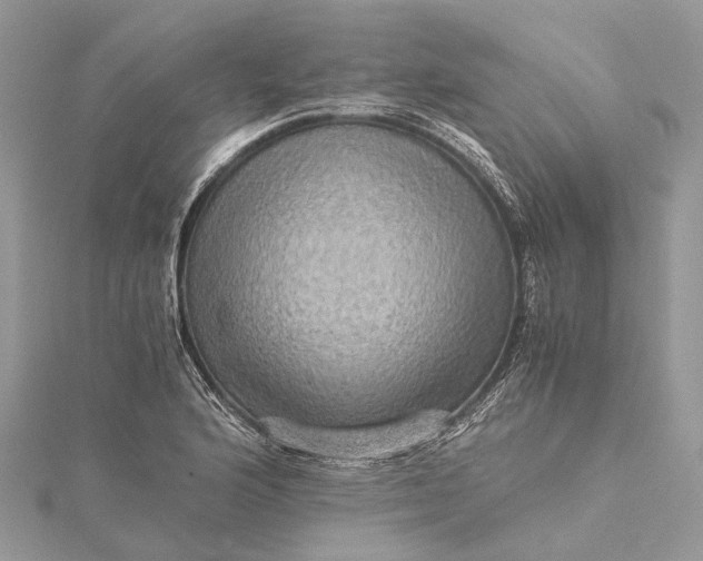 X0000115511176200911201633