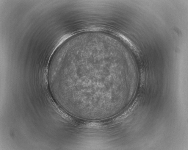 X0000115511178200911201633