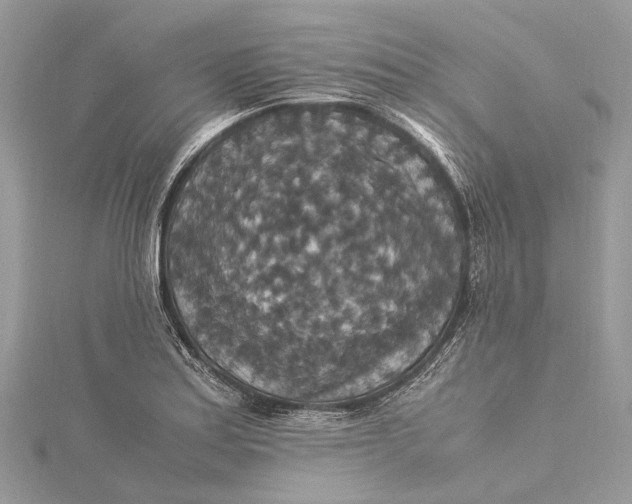 X0000115511179200911201633