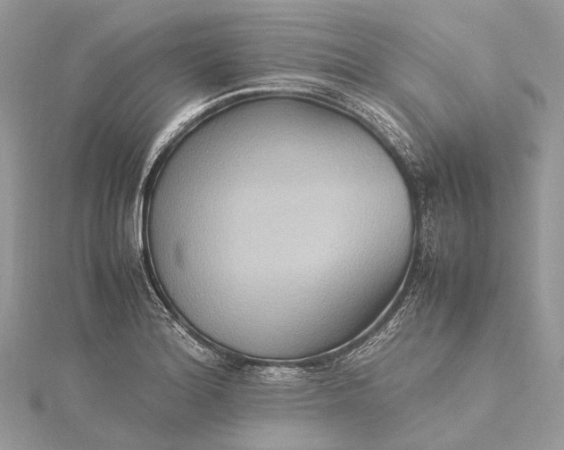 X0000115511180200911201633