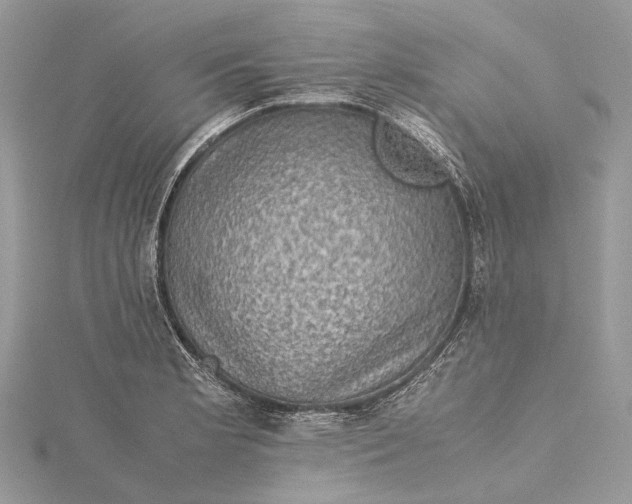 X0000115511181200911201633