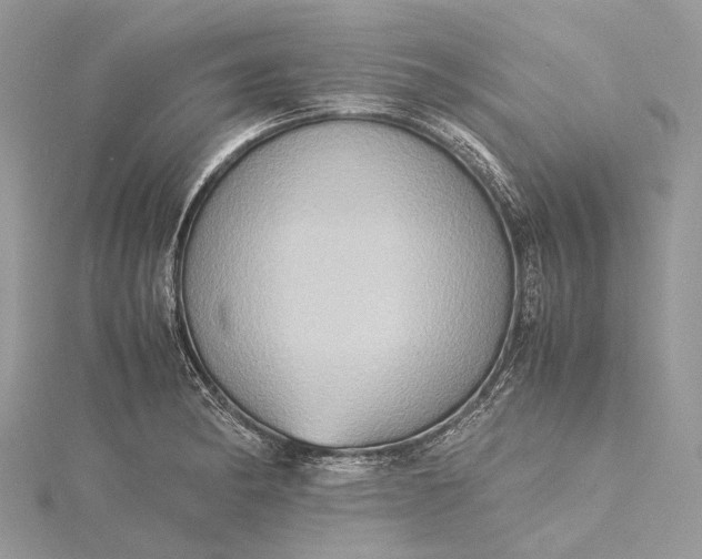 X0000115511182200911201633