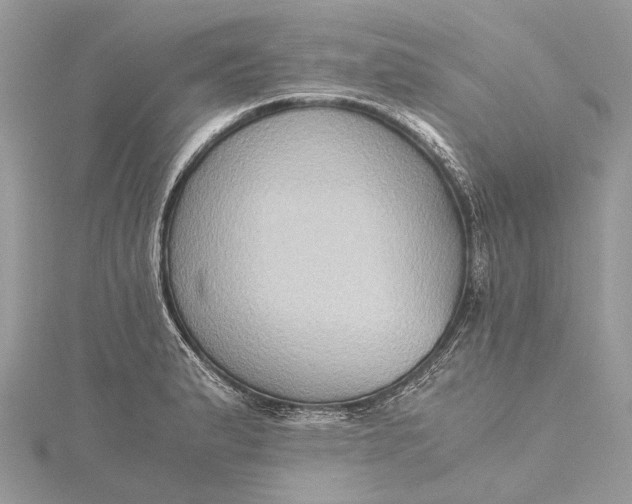 X0000115511183200911201633