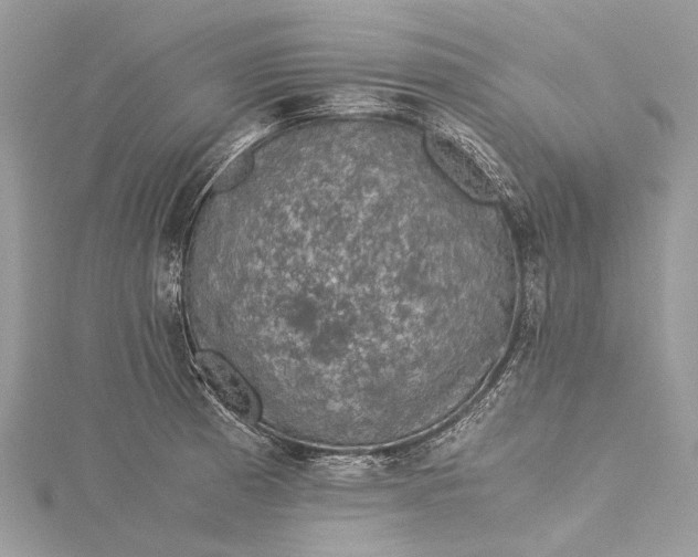 X0000115511185200911201633