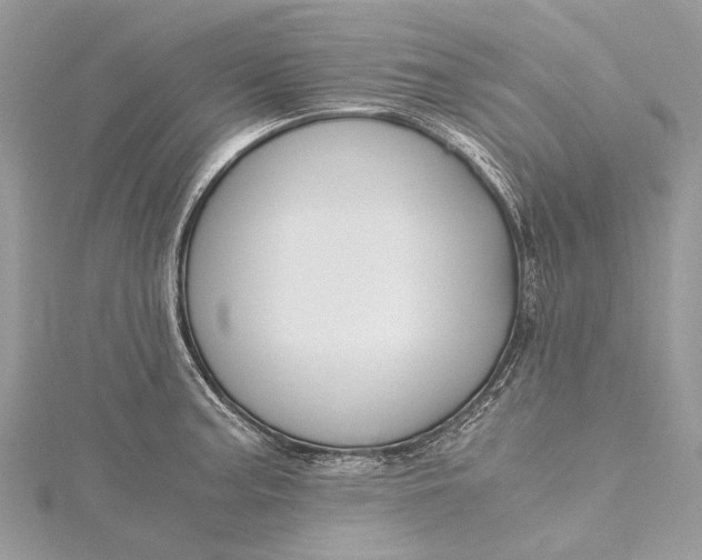 X0000115511187200911201633