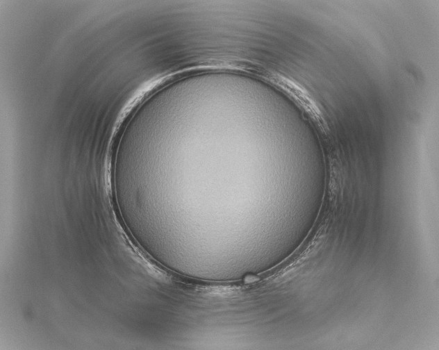 X0000115511188200911201633