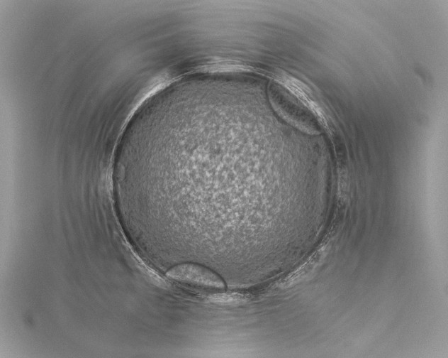 X0000115511189200911201633