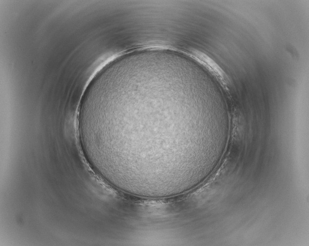 X0000115511190200911201632