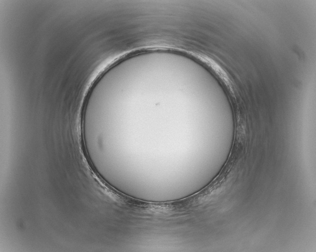 X0000115511191200911201632