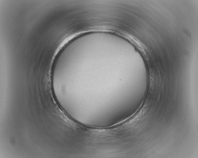 X0000115511192200911201632