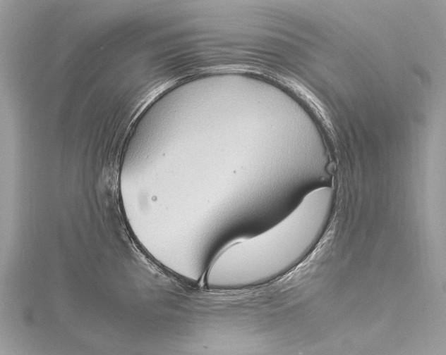 X0000115511193200911201632