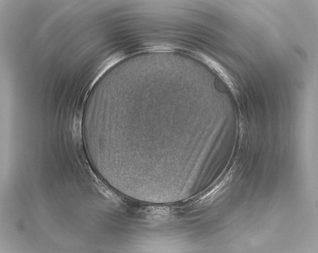 X0000115511194200911201632