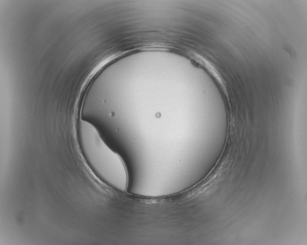 X0000115511195200911201632